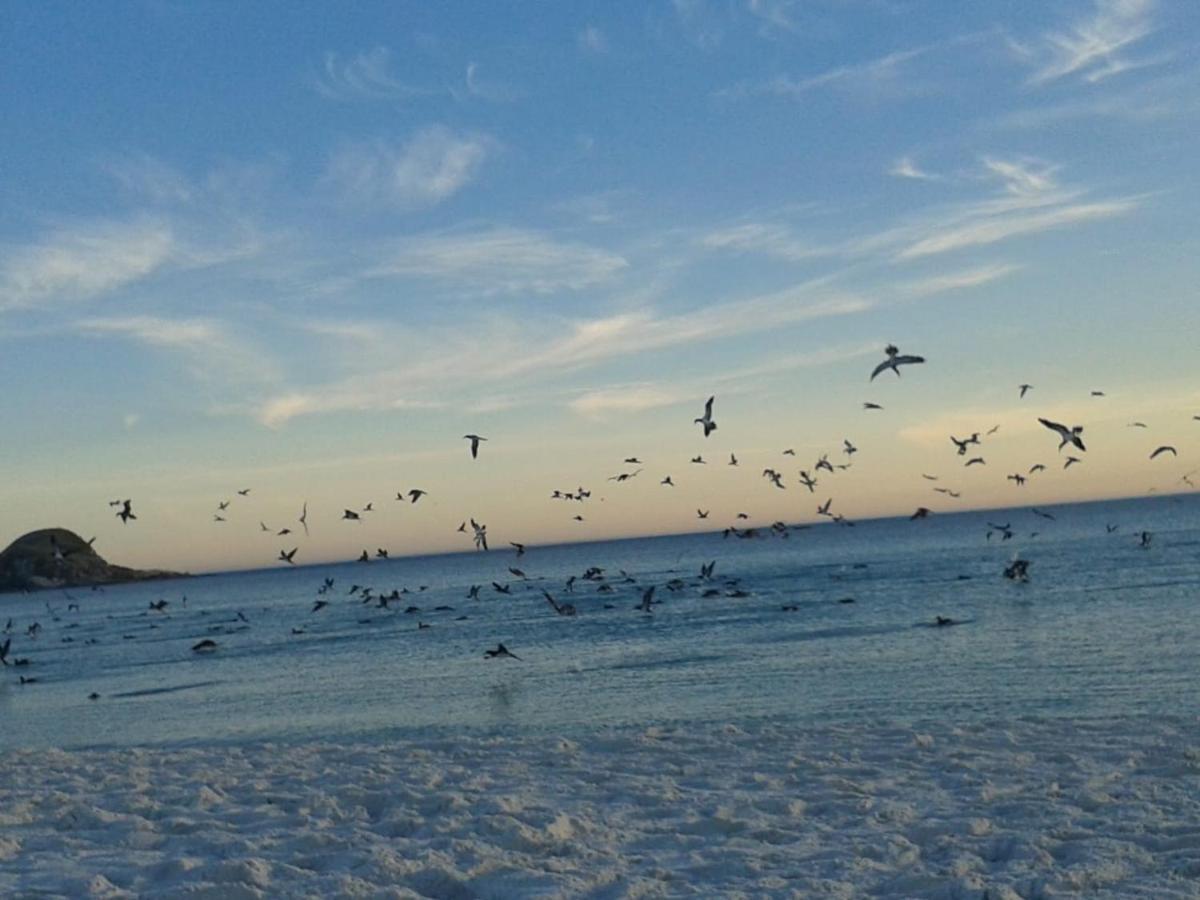 De Frente Para O Caribe Brasileiro. Arraial do Cabo Dış mekan fotoğraf
